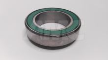 clutch bearing 3160 - independent (1)