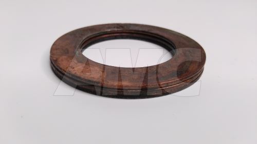 planetary wheel of the differential wheel