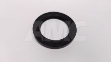 the UAZ gasket (1)