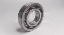 bearing 6207 IB E/P100/PRAGA (1)