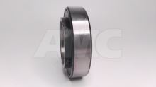 clutch bearing 3160 - independent (3)
