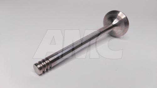 exhaust valve ZMZ E3 /4