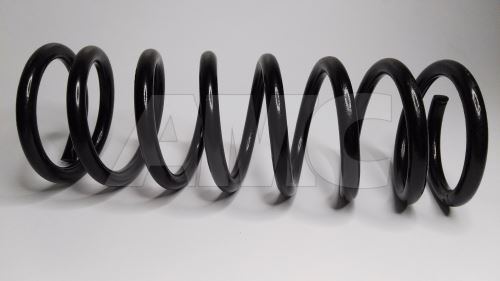 front coil spring