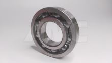 bearing 6207 IB E/P100/PRAGA (2)