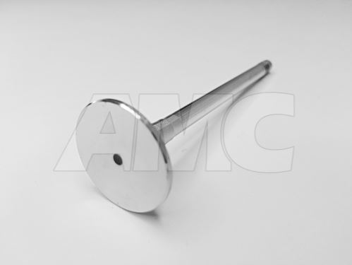 exhaust valve ZmZ CRD 51432, 5143, 514