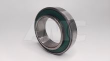 clutch bearing 3160 - independent (2)
